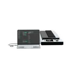 Expressive E Osmose 61 CE - MIDI Controller